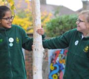 20 Primary Maths Strategies Proven To Improve Progress And Understanding At KS2