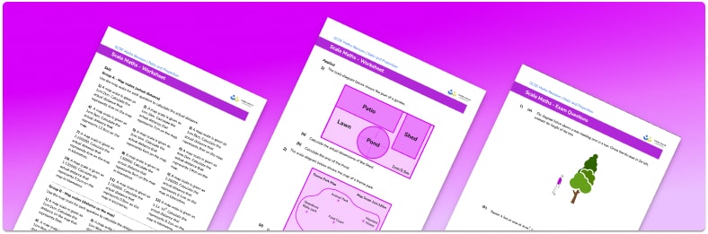 Scale maths worksheet