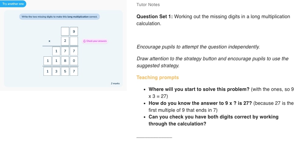 Tutor notes from Third Space Learning online classroom