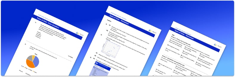 Types Of Data Worksheet