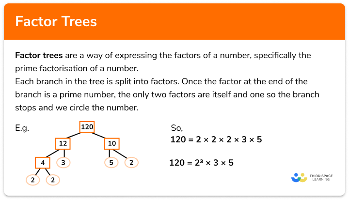 Factor trees