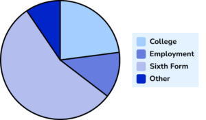 Pie chart Example 6