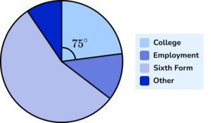 Pie chart Example 6 Step 1 Image 1
