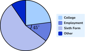 Pie chart Example 6 Step 1 Image 2