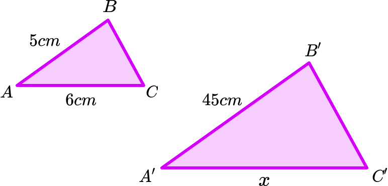 ratio scale example 1