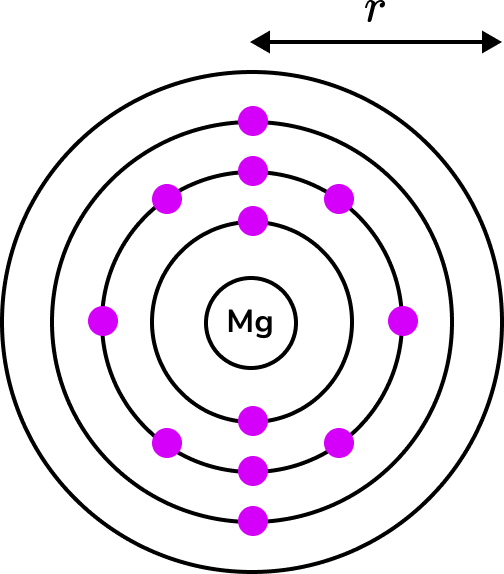 ratio scale example 4