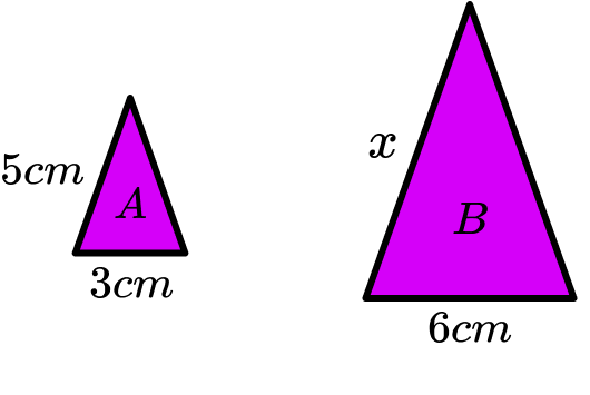 Scale Diagram Image 1