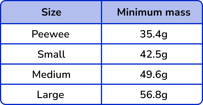 Tally Charts example 5 image 1